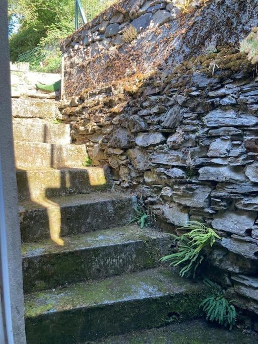 Maison Familiale Pour 8 Saint-Aventin エクステリア 写真